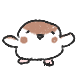 총총참새단