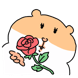 햄스터 햄쬬비
