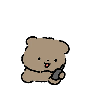 갈색 말티푸 초코코!