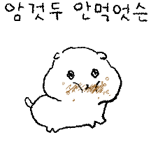 맑은 눈의 광광이