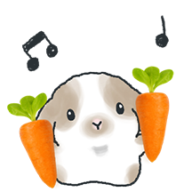 깡총깡총 토르끼