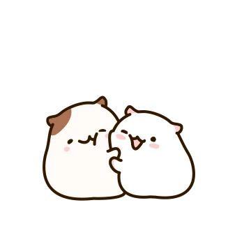 햄찌 커플, 오늘도 사랑해