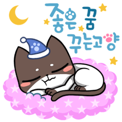 난 이런고양