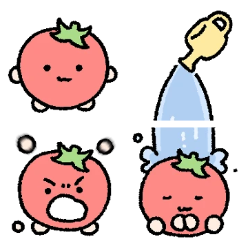 더 작아져 귀여운 토맛토