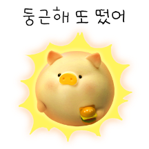 루루의 무해한 일상