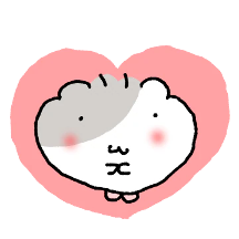 솜찌는 꼬물꼬물햄