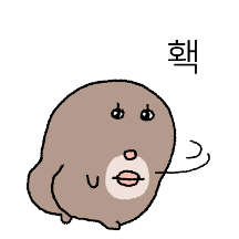 두더지 앵듀