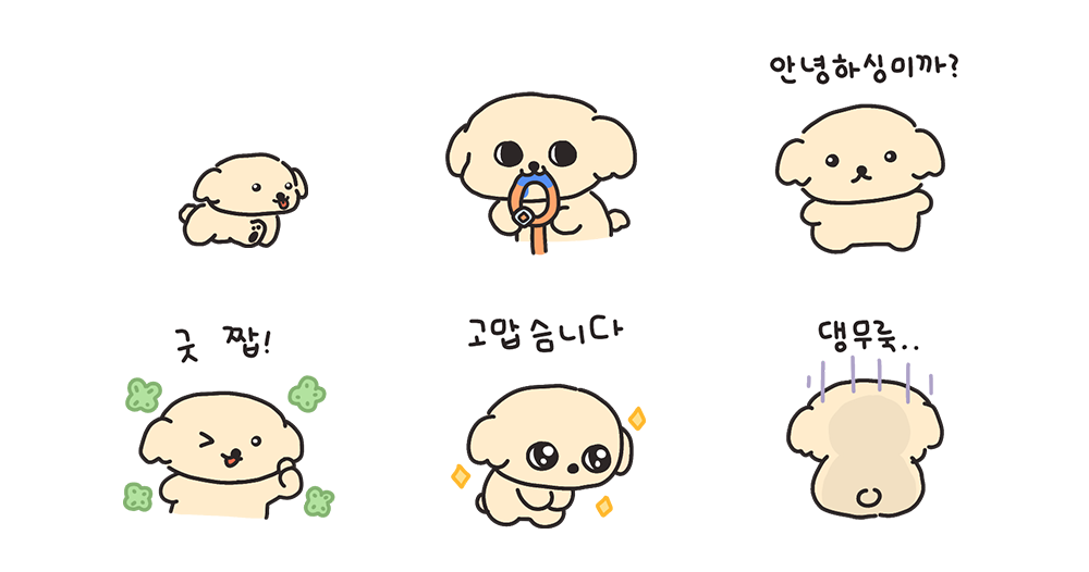 우리집 콩까루
