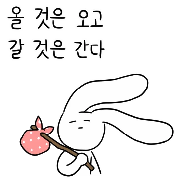 현타 맞은 현타토끼