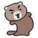 페럿둥이들