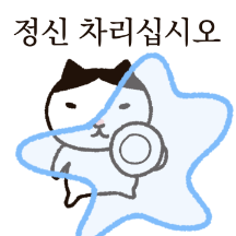 가르마 고양이 가고씨