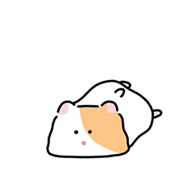 레쮸고 궁디햄띠
