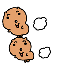 찌글찌글 극락쿼카