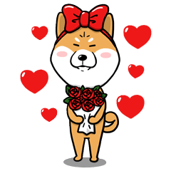 시바견 루이 스페셜 에디션