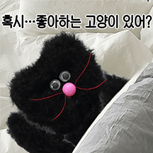 모남희 프렌즈의 일상