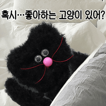 모남희 프렌즈의 일상