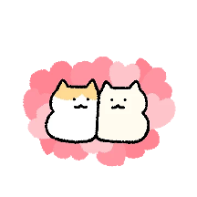 올먕졸먕 커플