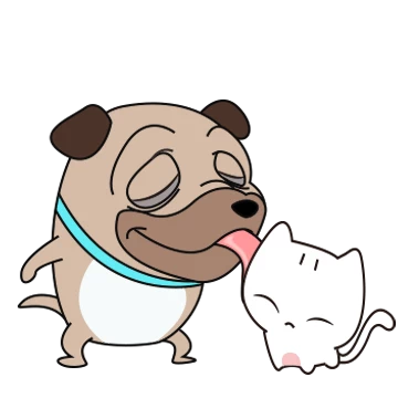 퍼그와 콩냥이