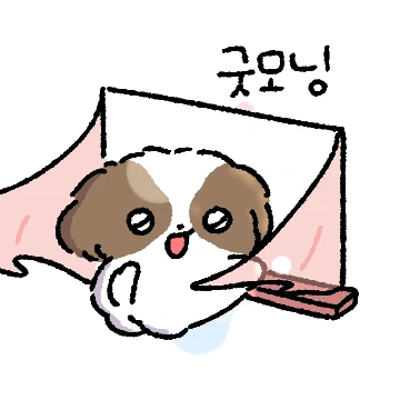 우리집 시츄