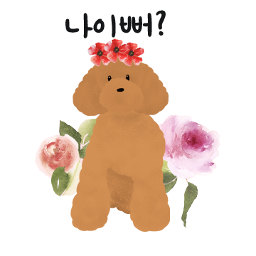 해맑은 푸들들