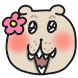 꽃개