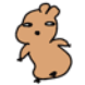 째깐한 쿼카