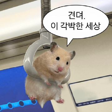 거친 세상을 살아가는 햄스터