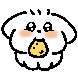 강아지 쨩이