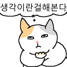 아니, 이 고양이가 왜 이래? 3