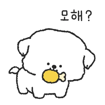 우리 집 귀여운 막내 말티즈 솜이