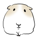ㄱㅣ니피그
