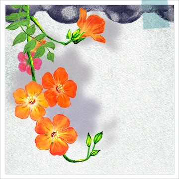 행복한 일상 한컷톡