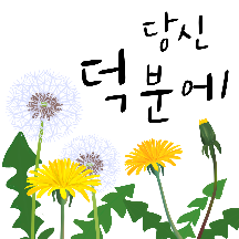 작은 들꽃 가득한 예쁜말 톡