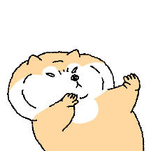 시바 살찜