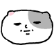 덩치 고양이