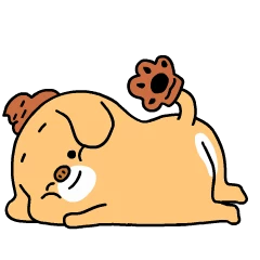 변두리의 Dog한 일상