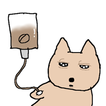 눈꺼풀이 무거운 강아지