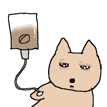 눈꺼풀이 무거운 강아지