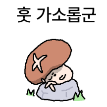 마음을 훔치러 온 닌자 표고 버섯이다